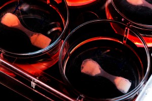 (Foto Bart van Overbeeke)