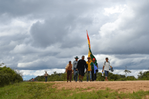 Demonstranten marcheren tegen de aanleg van een snelweg door het Amazone-gebied.